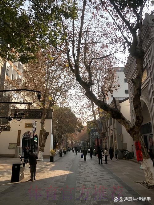 杨瀚森工作室：七天六赛&年轻的肩膀扛得起一场又一场的渴望